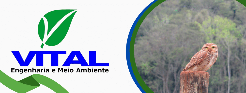 VITAL ENGENHARIA & MEIO AMBIENTE